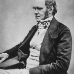 Darwin 1854
