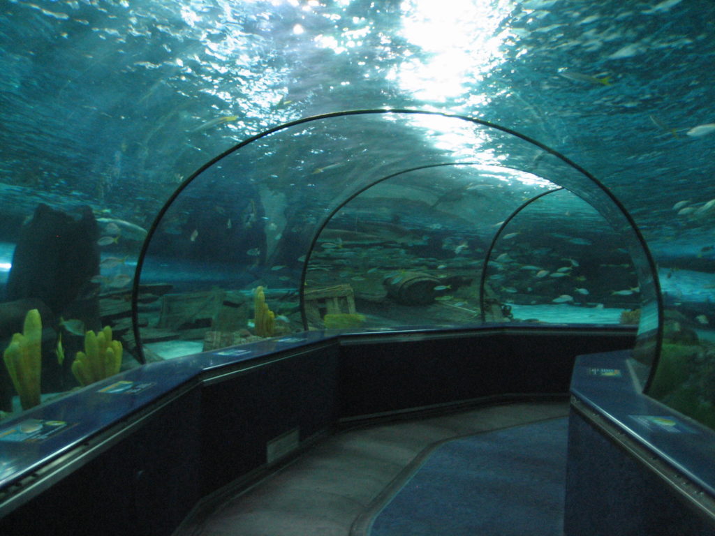 Ripley's Aquarium of Myrtle Beach - DC SC NC Sept 2009 087 1024x768