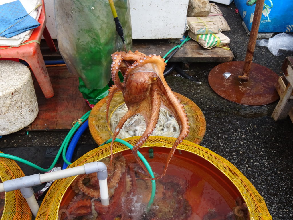 Jagalchi Fish Market, Busan, South Korea